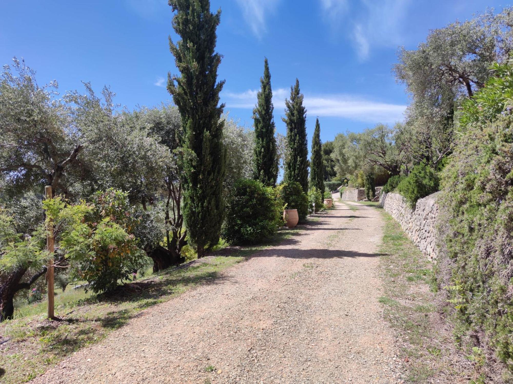 סנרי-סור-מר Villa Des Oliviers מראה חיצוני תמונה