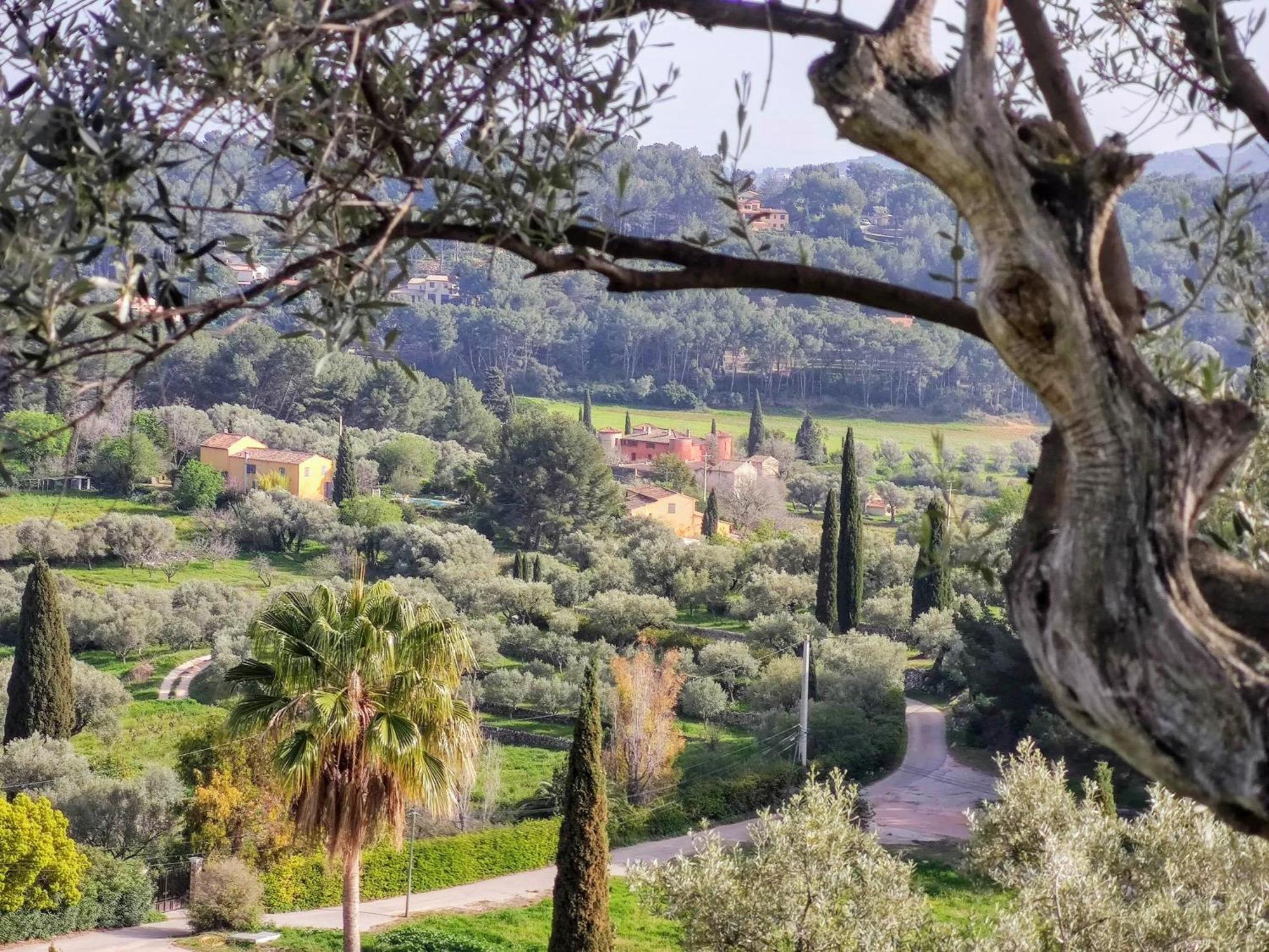 סנרי-סור-מר Villa Des Oliviers מראה חיצוני תמונה